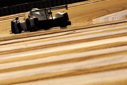 MLMC TV Distribution for Round 3 in France